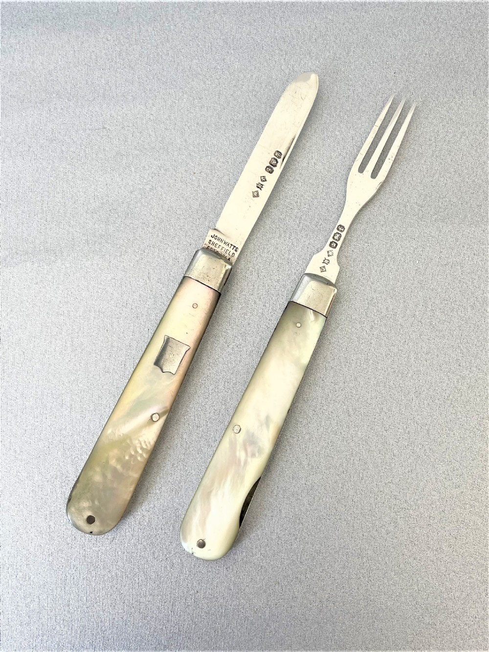 A desirable Victorian silver Campaign duo View III