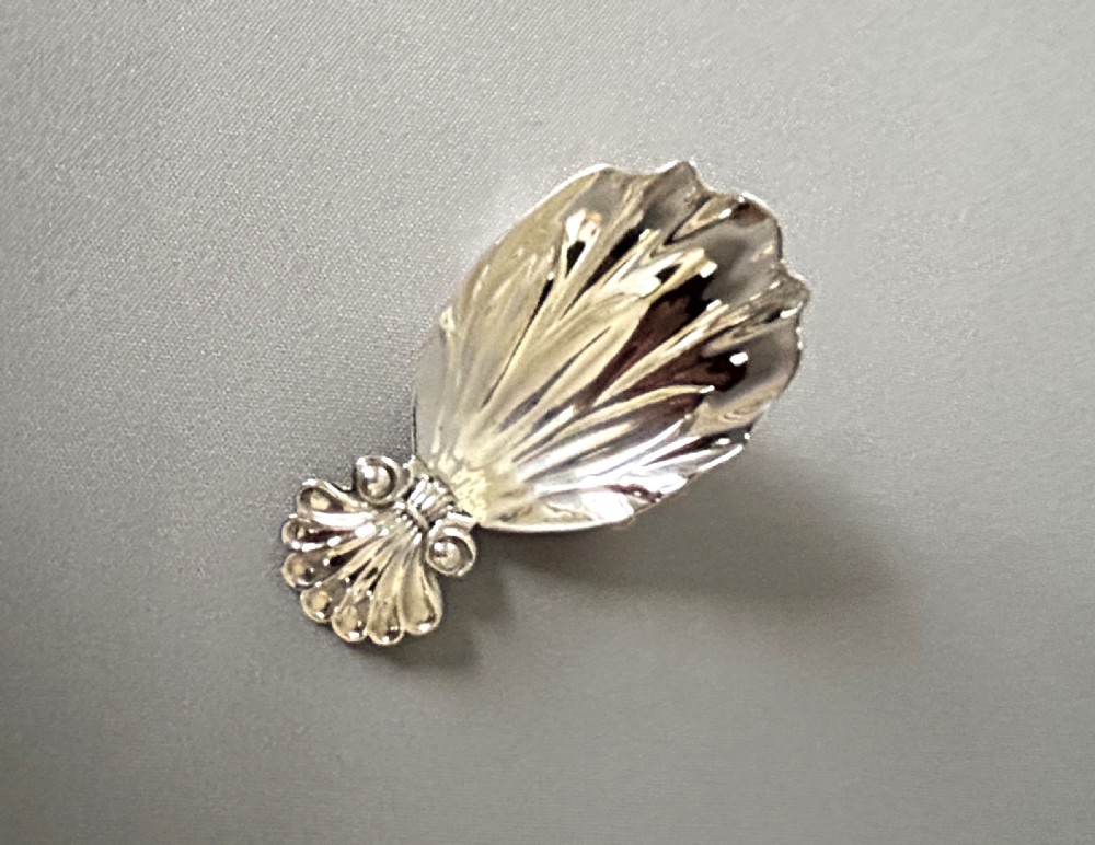 A Georgian Regency period silver caddy spoon