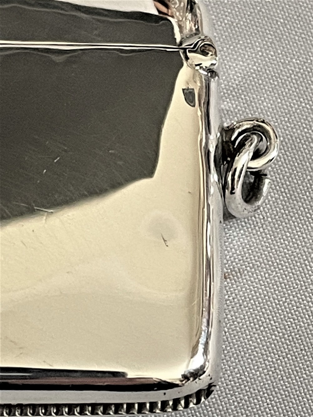 A rare Edwardian silver vesta, featuring a Boxer Dog View IV