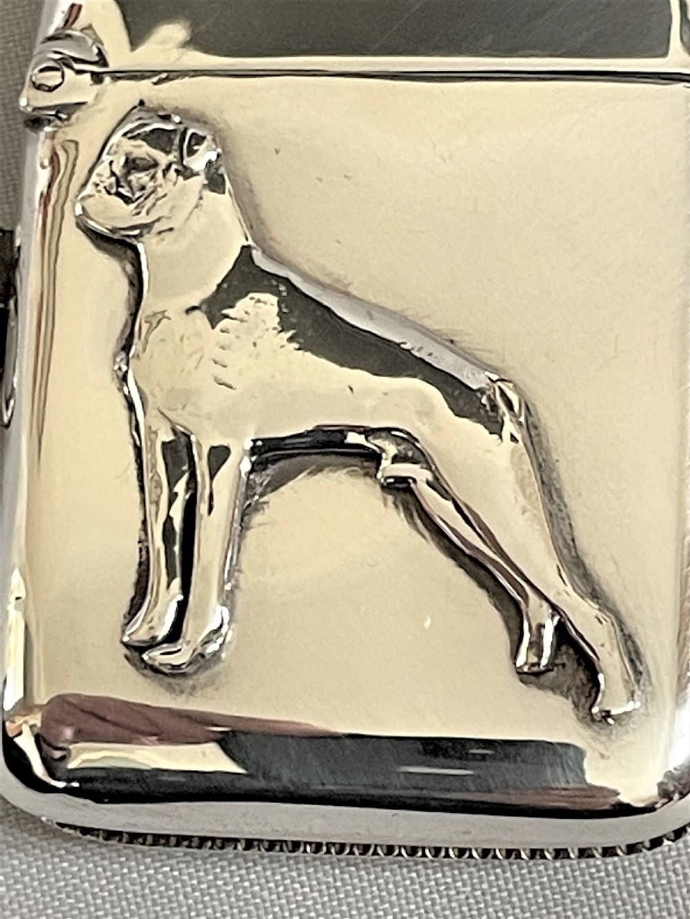 A rare Edwardian silver vesta, featuring a Boxer Dog View VI