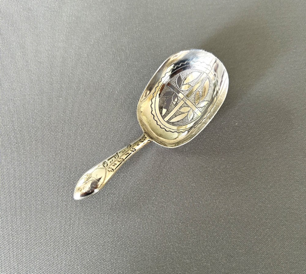 A charming Georgian Regency silver caddy spoon
