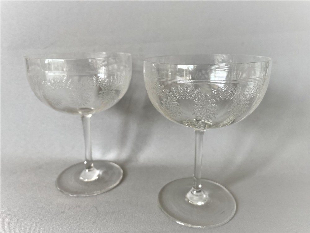 A delightful pair of Edwardian etched champagne bowls View III