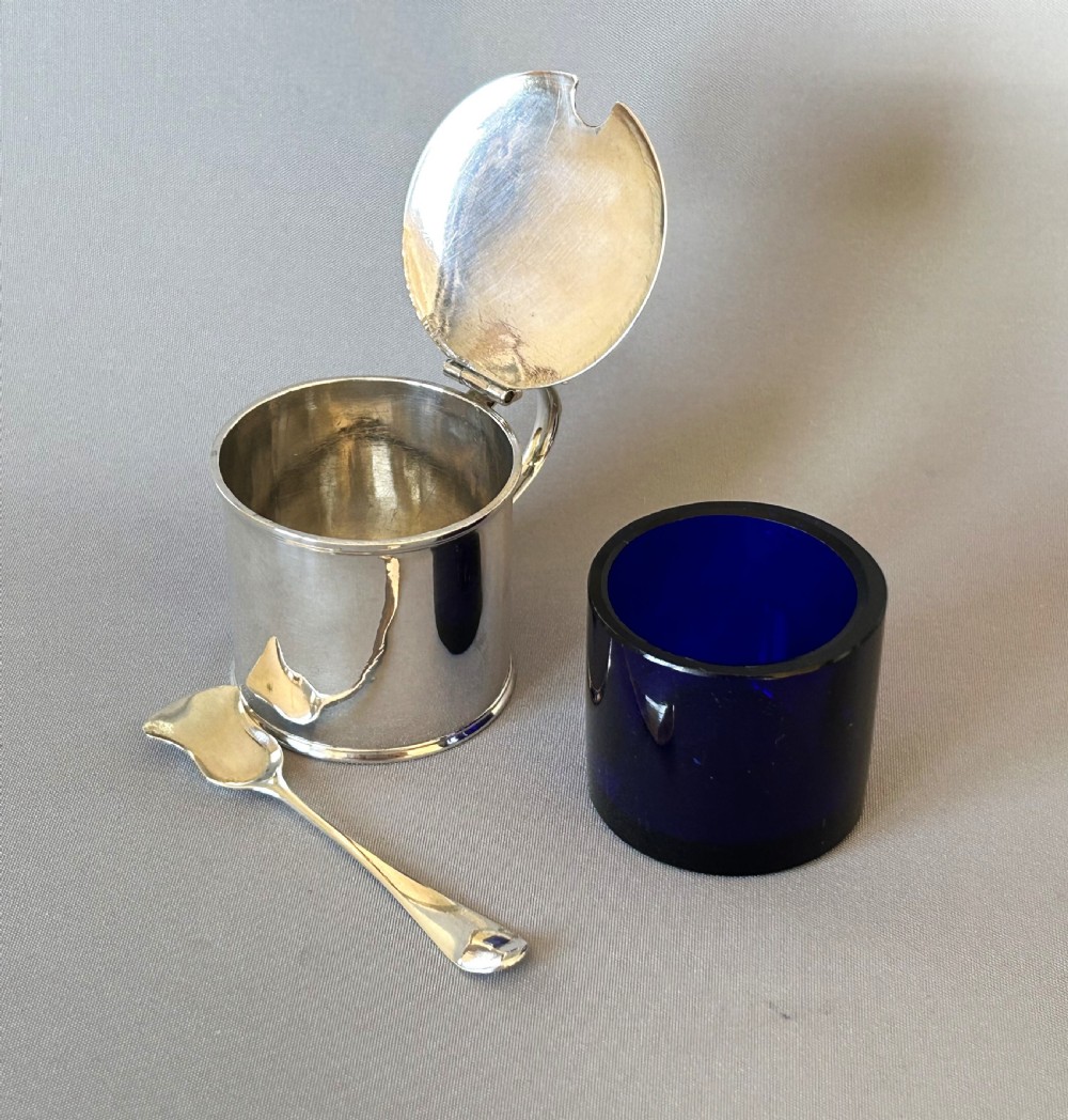 Rare 18th Century Newcastle silver mustard pot & spoon View VIII