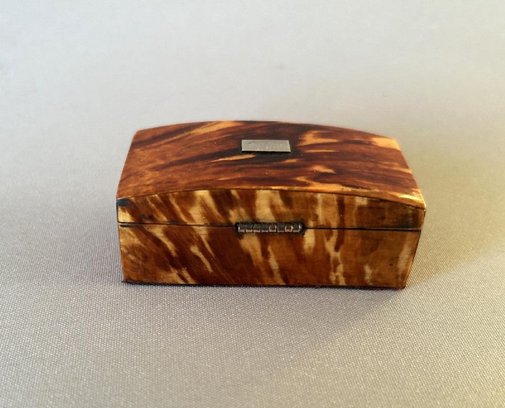 A mid-19th-century rectangular tortoiseshell snuff box featuring a curved top lid and a blank silver cartouche inlay. View III
