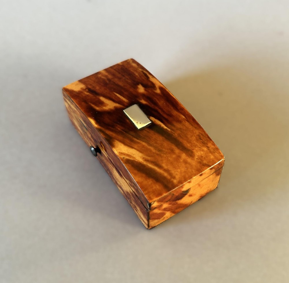 A mid-19th-century rectangular tortoiseshell snuff box featuring a curved top lid and a blank silver cartouche inlay. View IV