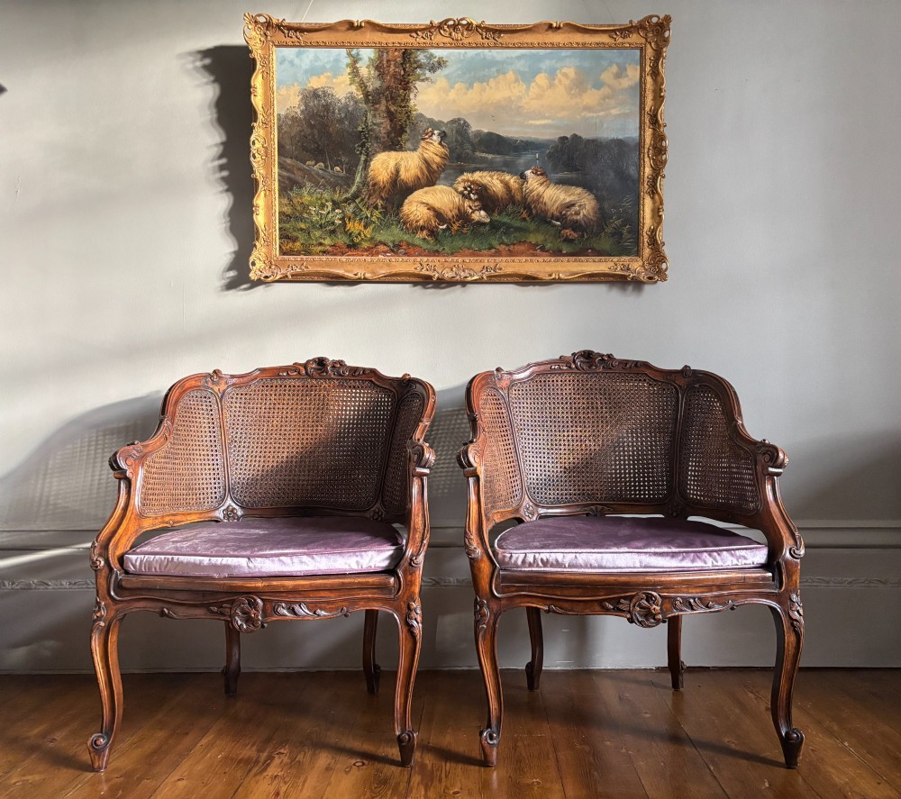 A pair of French Louis XV style carved wooden armchairs with woven cane backrests and purple velvet seat cushions resting on cabriole legs. View V