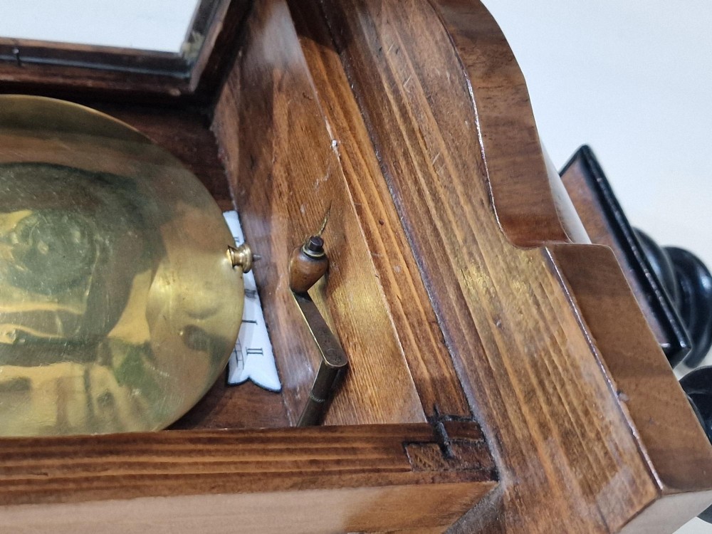 Alternate View