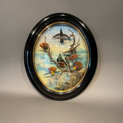 victorian taxidermy wall dome by james gardner london circa 1875 - CATEGORY: ANTIQUE MISCELLANEOUS - DATED VICTORIAN