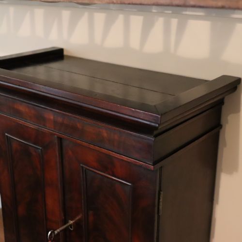 EARLY VICTORIAN SMALL MAHOGANY COLLECTORS CABINET - ADDITIONAL PHOTO 3