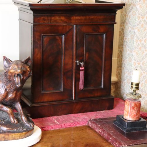 EARLY VICTORIAN SMALL MAHOGANY COLLECTORS CABINET - ADDITIONAL PHOTO 4