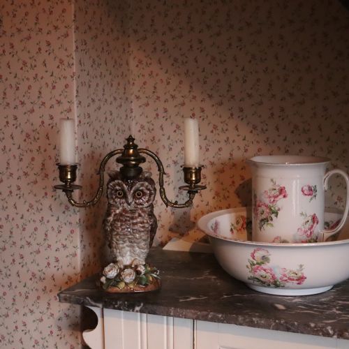 A 19TH CENTURY OWL CANDELABRA - ADDITIONAL PHOTO 4