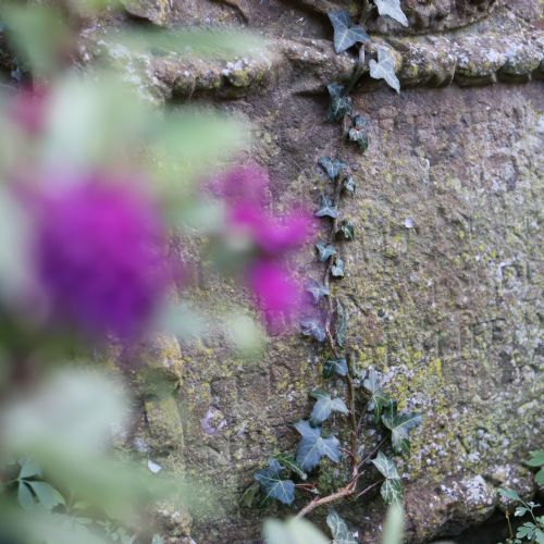 17TH CENTURY ENGLISH GRAVESTONE - ADDITIONAL PHOTO 2