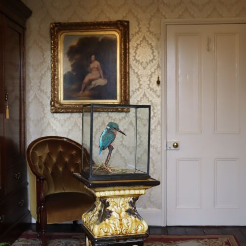 TAXIDERMY KINGFISHER BY ROWLAND WARD - ADDITIONAL PHOTO 15