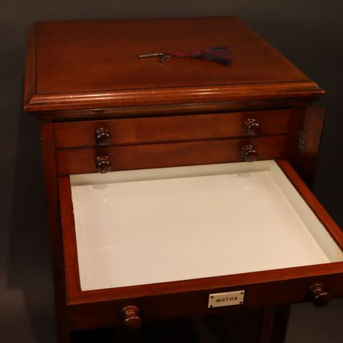 UNUSUAL WATKINS DONCASTER ENTOMOLOGY MUSEUM SPECIMEN CABINET - ADDITIONAL PHOTO 1