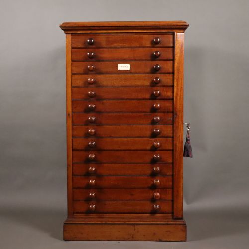 unusual watkins doncaster entomology museum specimen cabinet - CATEGORY: ANTIQUE CABINETS - DATED 1880