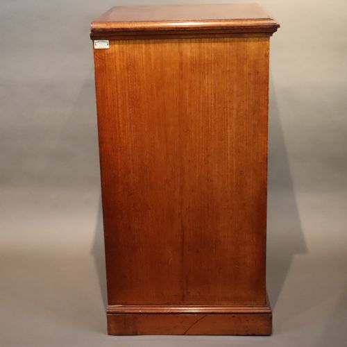 UNUSUAL WATKINS DONCASTER ENTOMOLOGY MUSEUM SPECIMEN CABINET - ADDITIONAL PHOTO 3
