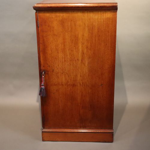 UNUSUAL WATKINS DONCASTER ENTOMOLOGY MUSEUM SPECIMEN CABINET - ADDITIONAL PHOTO 4