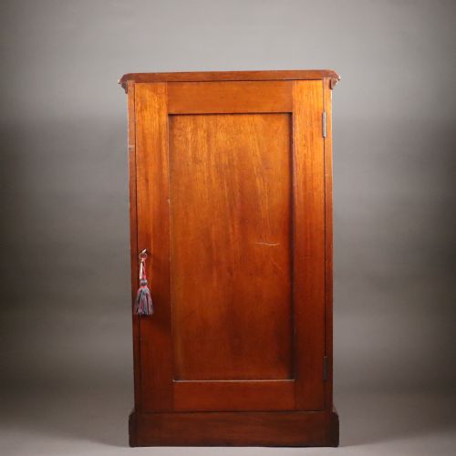 UNUSUAL WATKINS DONCASTER ENTOMOLOGY MUSEUM SPECIMEN CABINET - ADDITIONAL PHOTO 9