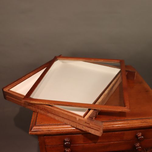 UNUSUAL WATKINS DONCASTER ENTOMOLOGY MUSEUM SPECIMEN CABINET - ADDITIONAL PHOTO 11
