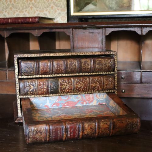 19TH CENTURY LIBRARY DESK TOP COLLECTORS CHEST - ADDITIONAL PHOTO 1