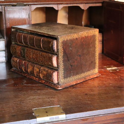 19TH CENTURY LIBRARY DESK TOP COLLECTORS CHEST - ADDITIONAL PHOTO 2