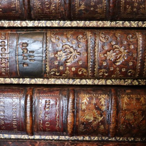 19TH CENTURY LIBRARY DESK TOP COLLECTORS CHEST - ADDITIONAL PHOTO 3