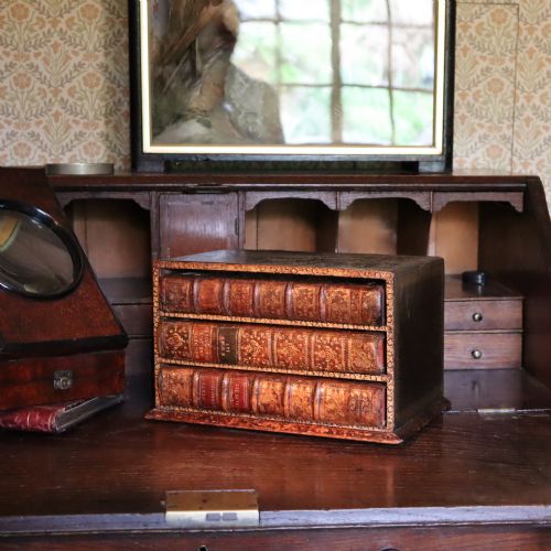 19TH CENTURY LIBRARY DESK TOP COLLECTORS CHEST - ADDITIONAL PHOTO 6