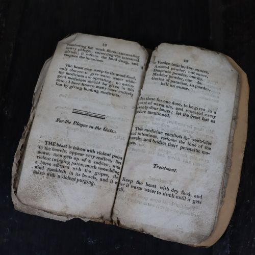 EARLY VETERINARY BOOK OF HISTORICAL INTEREST - ADDITIONAL PHOTO 1