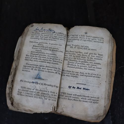EARLY VETERINARY BOOK OF HISTORICAL INTEREST - ADDITIONAL PHOTO 2