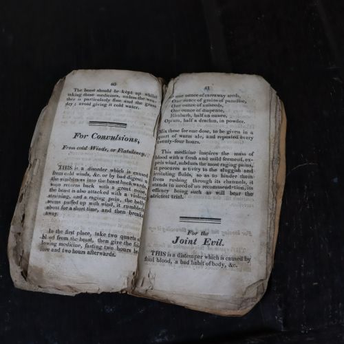EARLY VETERINARY BOOK OF HISTORICAL INTEREST - ADDITIONAL PHOTO 3