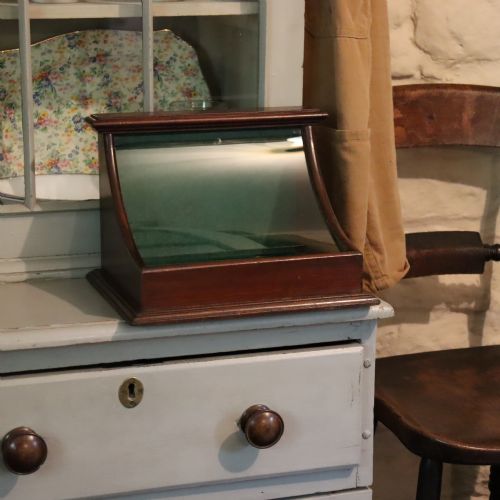 SMALL MAHOGANY AND GLASS TABLE TOP DISPLAY CASE - ADDITIONAL PHOTO 1