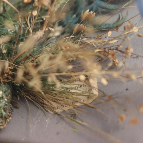 TAXIDERMY LATE VICTORIAN STUFFED BUDGIE BY ALFRED THOMAS TAXIDERMIST GLOUCESTER - ADDITIONAL PHOTO 1