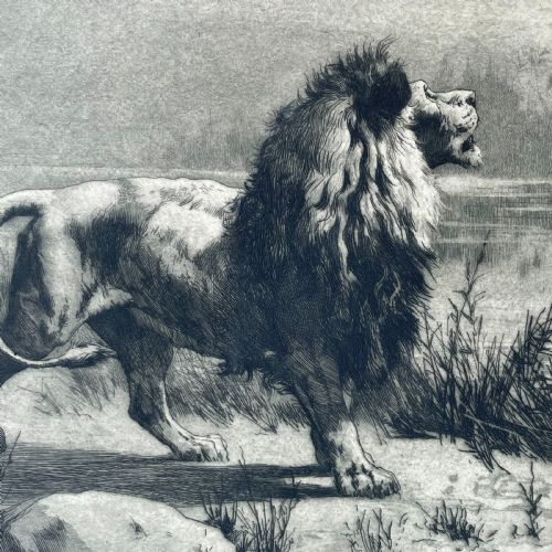 PRINT BY HERBERT THOMAS DICKSEE BRITISH 18621942 THE CHALLENGE - ADDITIONAL PHOTO 1