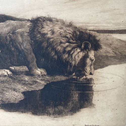 PRINT BY HERBERT THOMAS DICKSEE BRITISH 18621942 LION DRINKING - ADDITIONAL PHOTO 1