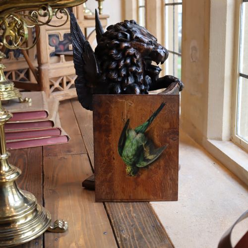 19TH CENTURY ENGLISH SCHOOL STILL LIFE PAINTING OF A BUDGERIGAR - ADDITIONAL PHOTO 4