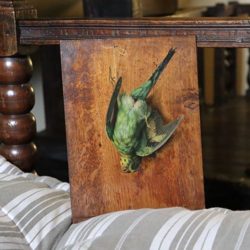19TH CENTURY ENGLISH SCHOOL STILL LIFE PAINTING OF A BUDGERIGAR - ADDITIONAL PHOTO 7