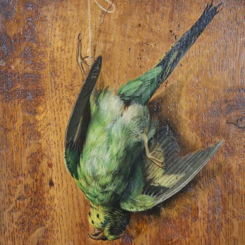 19TH CENTURY ENGLISH SCHOOL STILL LIFE PAINTING OF A BUDGERIGAR - ADDITIONAL PHOTO 9
