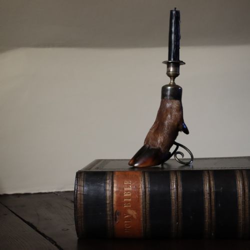 TAXIDERMY CANDLESTICK BY PETER SPICER SONS CIRCA 1910 - ADDITIONAL PHOTO 1