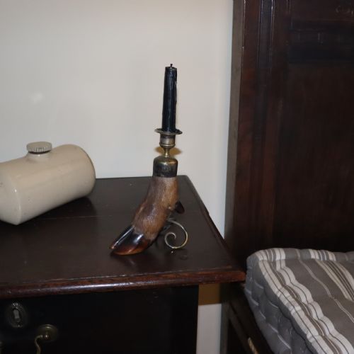TAXIDERMY CANDLESTICK BY PETER SPICER SONS CIRCA 1910 - ADDITIONAL PHOTO 3