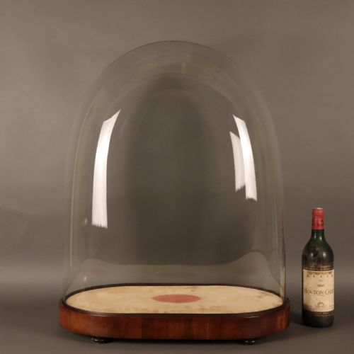 TAXIDERMY LARGE VICTORIAN GLASS DOME - ADDITIONAL PHOTO 2