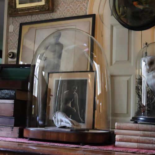 TAXIDERMY LARGE VICTORIAN GLASS DOME - ADDITIONAL PHOTO 1
