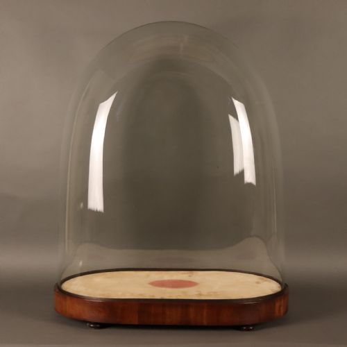 taxidermy large victorian glass dome - CATEGORY: ANTIQUE MISCELLANEOUS - DATED 1870