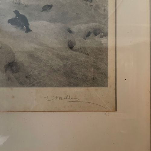 JOSEPH FARQUHARSON ORIGINAL PRINT DATED 1901 - ADDITIONAL PHOTO 2