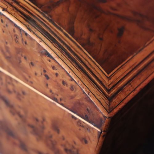 A REGENCY BURR YEW WOOD BOX - ADDITIONAL PHOTO 3