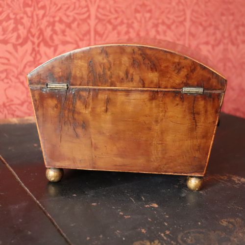 A REGENCY BURR YEW WOOD BOX - ADDITIONAL PHOTO 4
