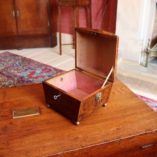 A REGENCY BURR YEW WOOD BOX - ADDITIONAL PHOTO 5