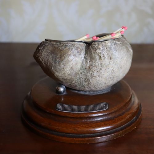 taxidermy cabinet of curiosity interest inner whale bone ear by rowland ward ltd london - CATEGORY: ANTIQUE MISCELLANEOUS - DATED 1910