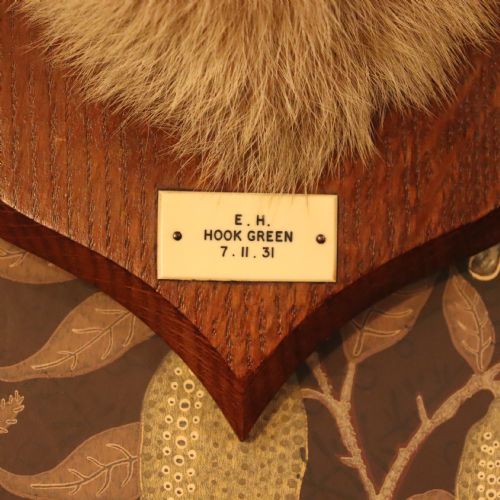TAXIDERMY FOX MASK BY PETER SPICER SONS - ADDITIONAL PHOTO 5