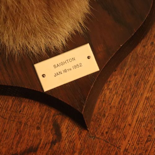 TAXIDERMY FOX MASK BY PETER SPICER SONS - ADDITIONAL PHOTO 2
