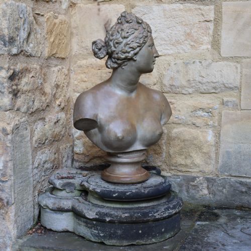 ITALIAN 19TH CENTURY AFTER THE ANTIQUE TERRACOTTA BUST OF THE VENUS DE MEDICI - ADDITIONAL PHOTO 1